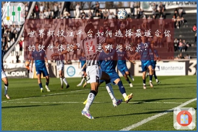 世界杯投注平台如何选择最适合你的软件体验？注意哪些坑点？