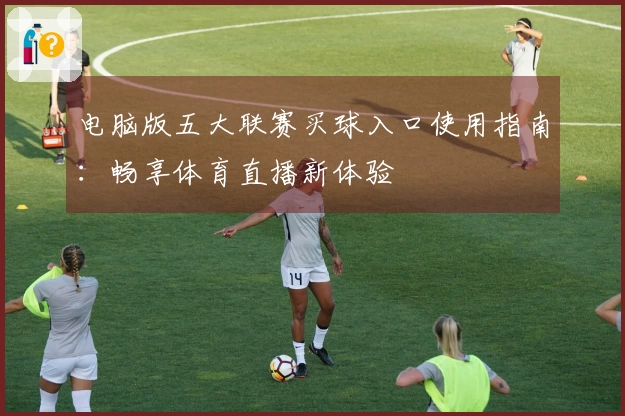 电脑版五大联赛买球入口使用指南：畅享体育直播新体验