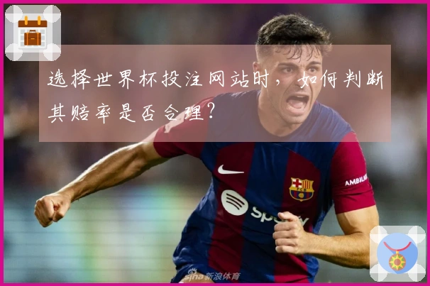 选择世界杯投注网站时，如何判断其赔率是否合理？