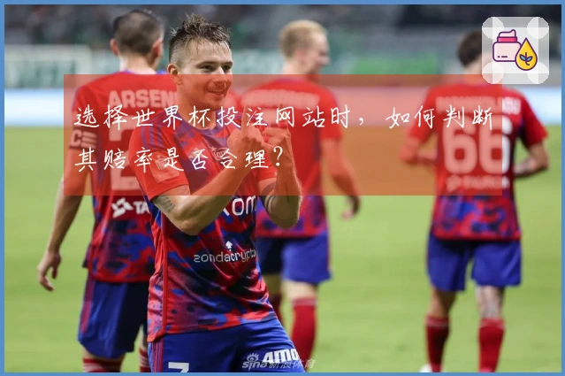 选择世界杯投注网站时,如何判断其赔率是否合理?