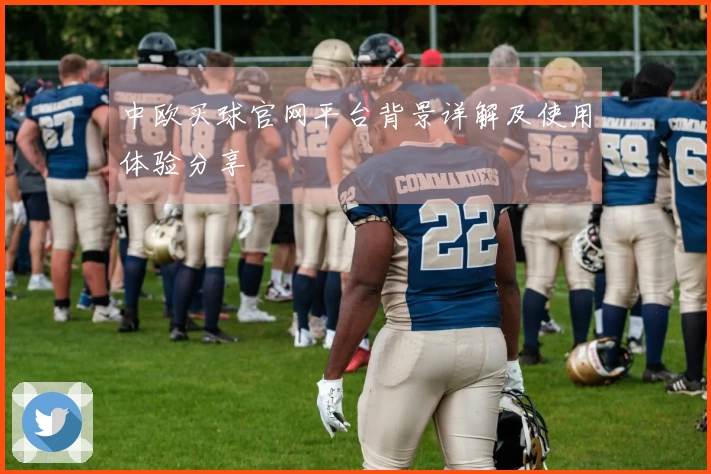 中欧买球官网平台背景详解及使用体验分享